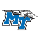 Blue Raiders